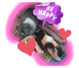 607947476