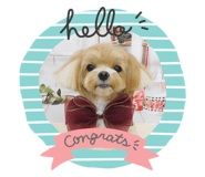 607981887