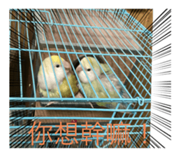 608006960