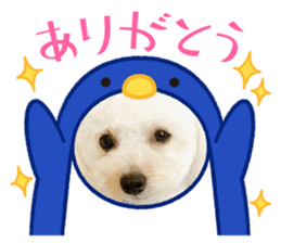 608030003
