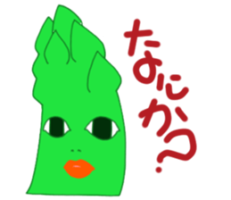 6080406
