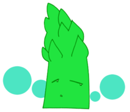 6080420