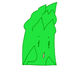 6080425