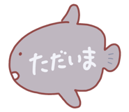 608054089