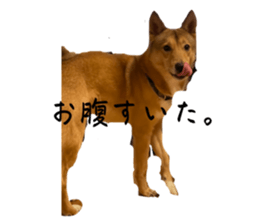 608060530
