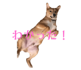608060532