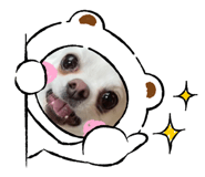 608062783