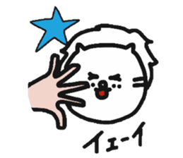 6080816