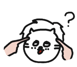 6080838
