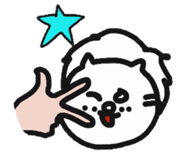6080845