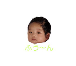 608127037