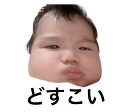 608127534