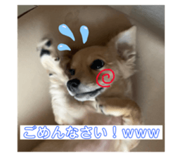 608155450