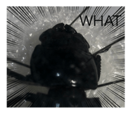608157248