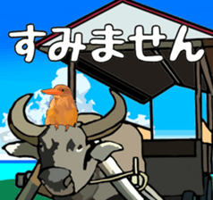 608206285