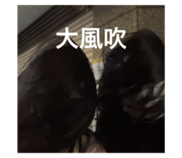 608260081