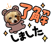 608263719