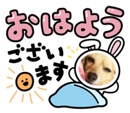 608263730