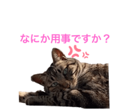 608280718