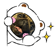 608359201