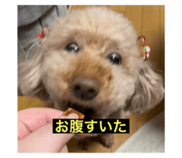 608382004