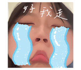 608386493