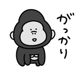 608432587