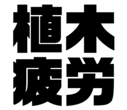 608468746
