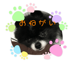 608504688