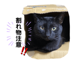 608517975