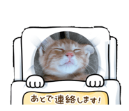 608549401