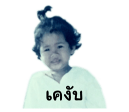 608576529