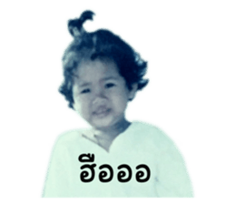 608576531