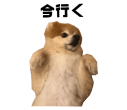 608625748