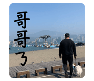 608644816