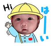 608647906