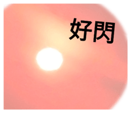 608650253
