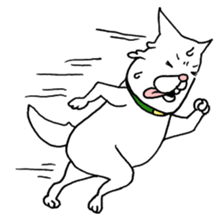 6086835
