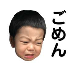 608687037