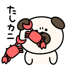 608705240