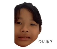 608706038