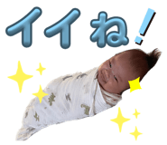 608800901