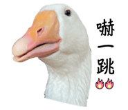 608891962