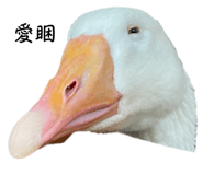 608891965