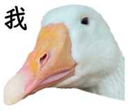 608891967