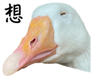 608891969