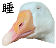 608891970