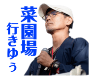 608989817