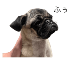 608990092