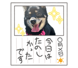 609006675